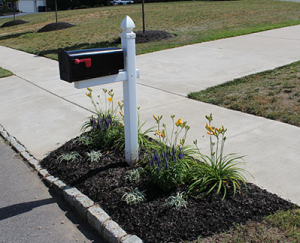 mailbox flowerbed right
